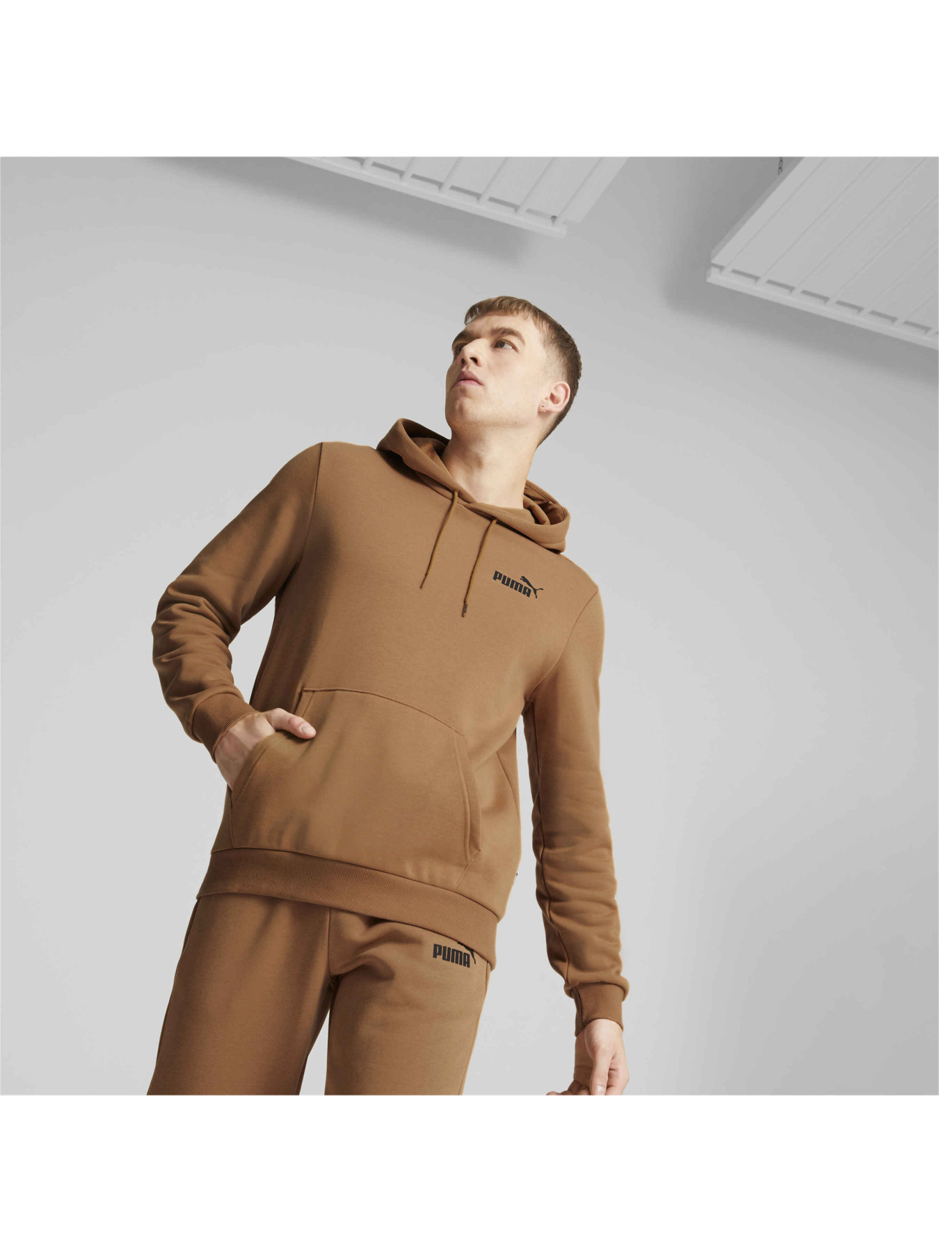 Худі PUMA Ess Small Logo Hoodie модель 586691 Фото