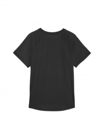 Футболка спортивная PUMA Evostripe Tee модель 676070 Фото