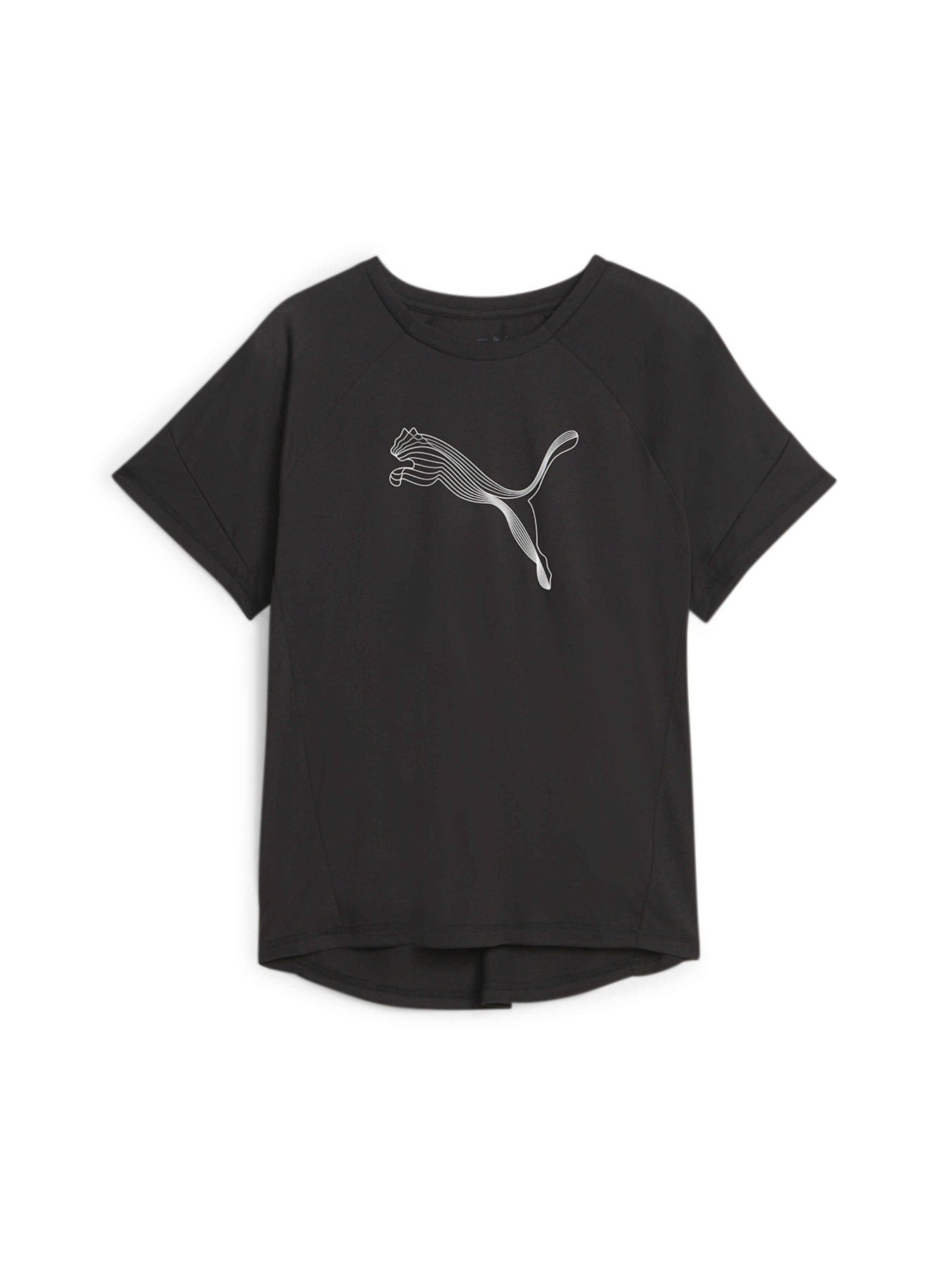 Спортивная футболка PUMA Evostripe Tee модель 676070 Спортивная футболка PUMA Evostripe Tee модель 676070 Фото