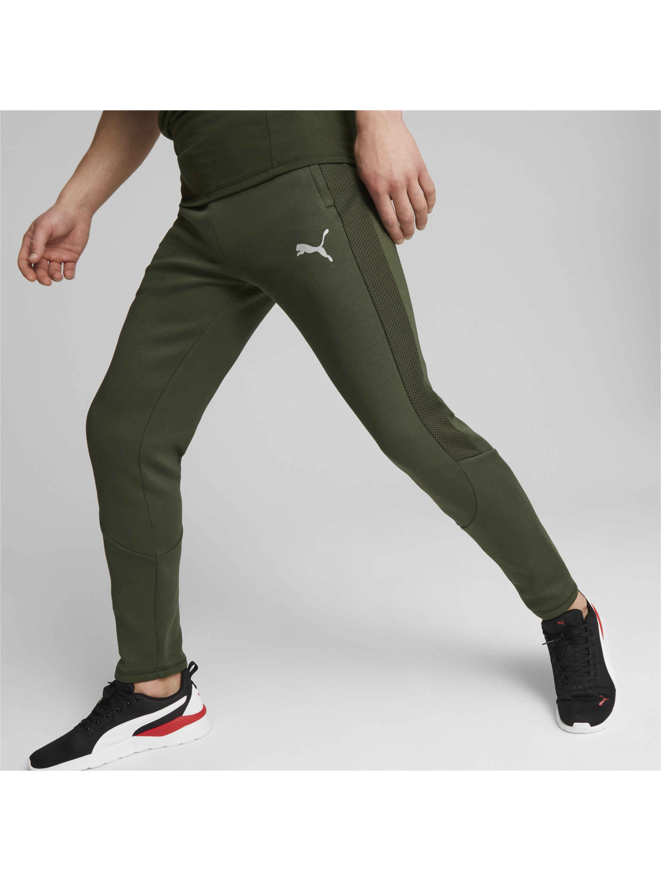 Спортивні штани PUMA Evostripe Pants модель 675932 Фото