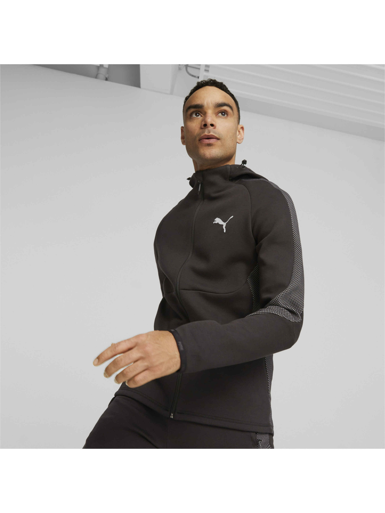 Кофта спортивная PUMA Evostripe Full-zip Hoodie модель 675930 Фото