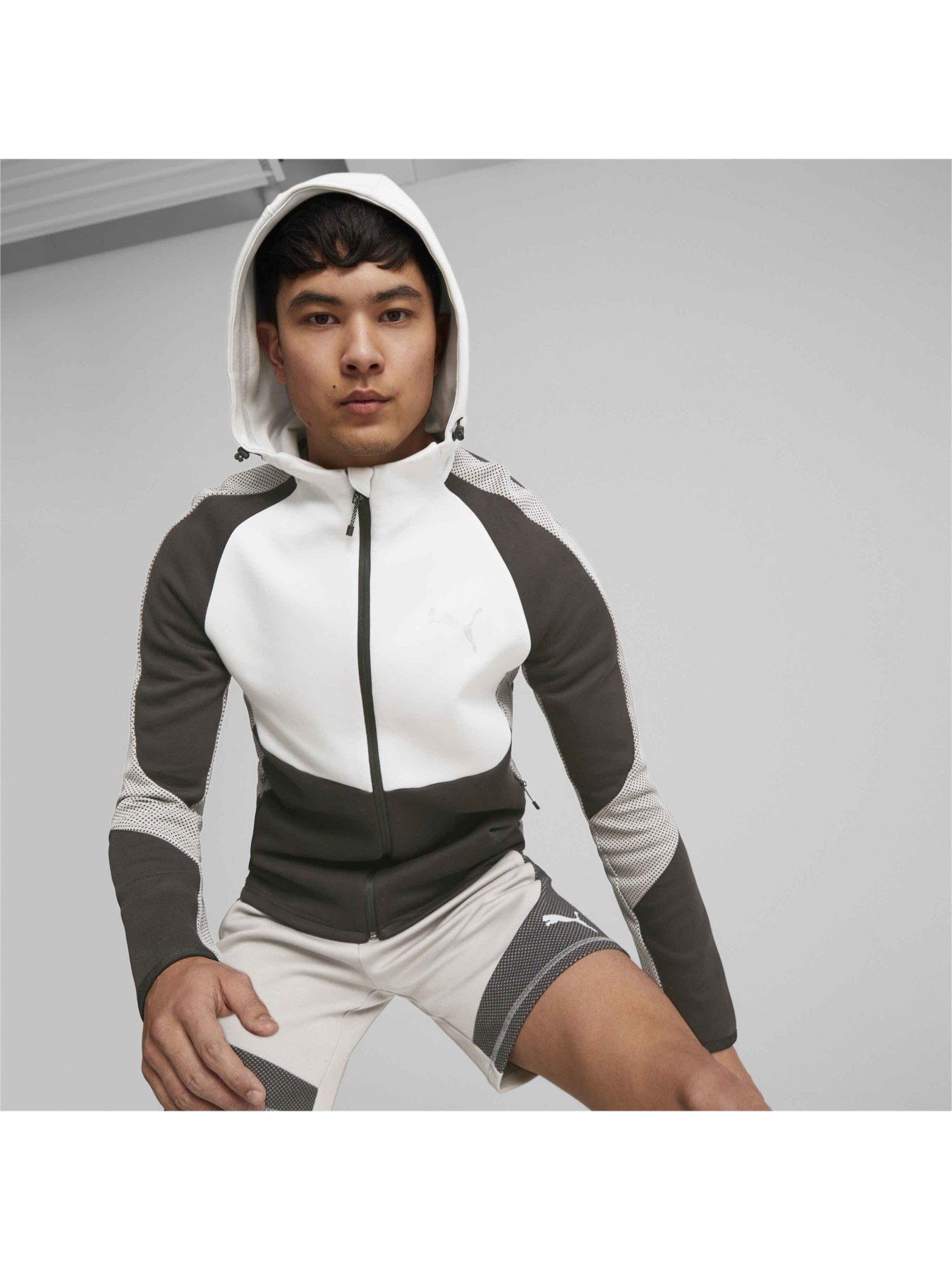 Кофта спортивная PUMA Evostripe Full-zip Hoodie модель 675930 Фото