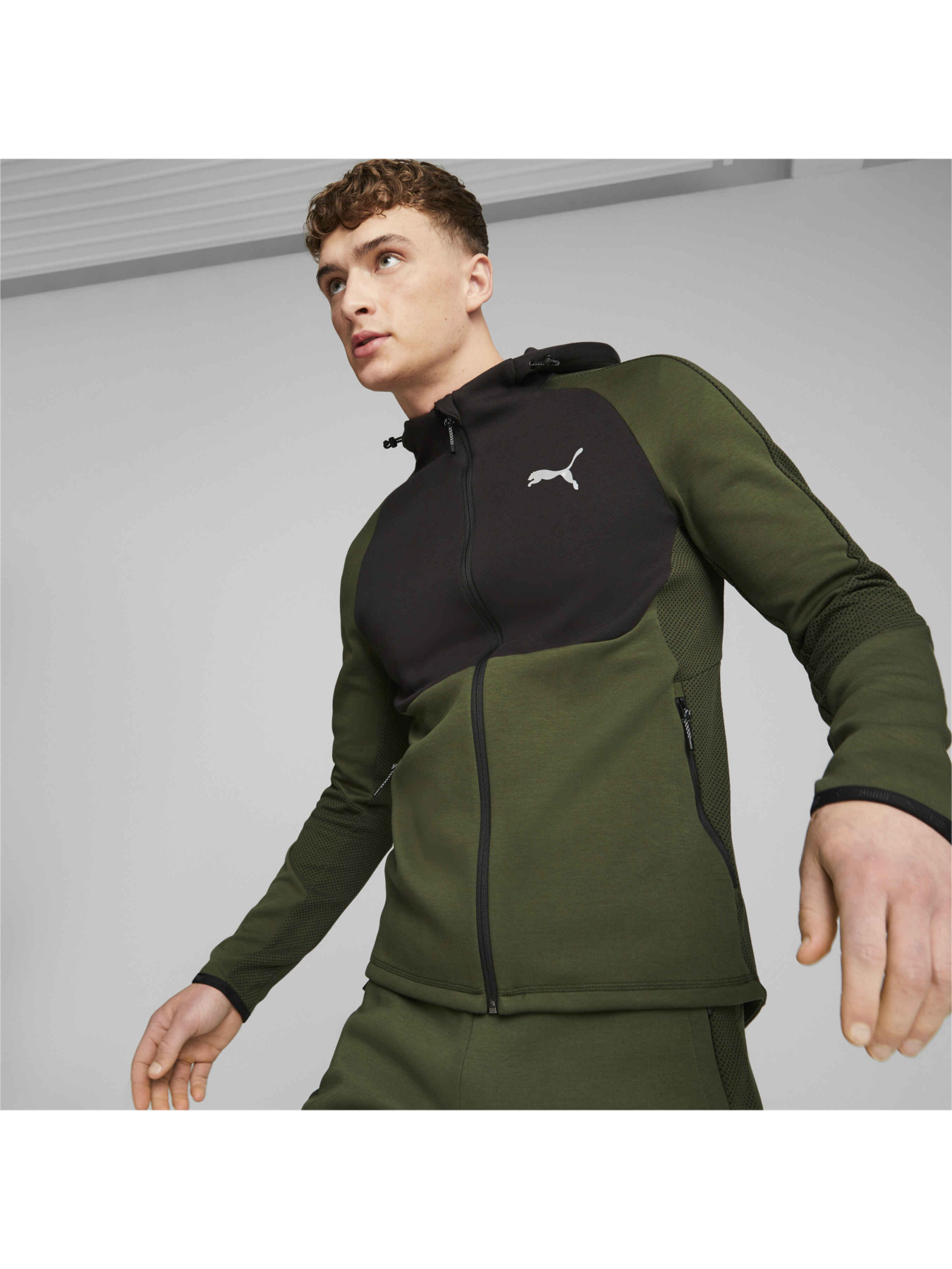 Кофта спортивная PUMA Evostripe Full-zip Hoodie модель 675930 Фото
