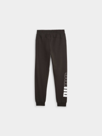 Штаны спортивные PUMA Power Sweatpants модель 675912 Фото