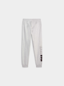 Штаны спортивные PUMA Power Sweatpants модель 675912 Фото
