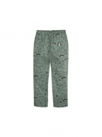 Повседневные штаны PUMA x Ripndip Twill Pants модель 622200 Фото