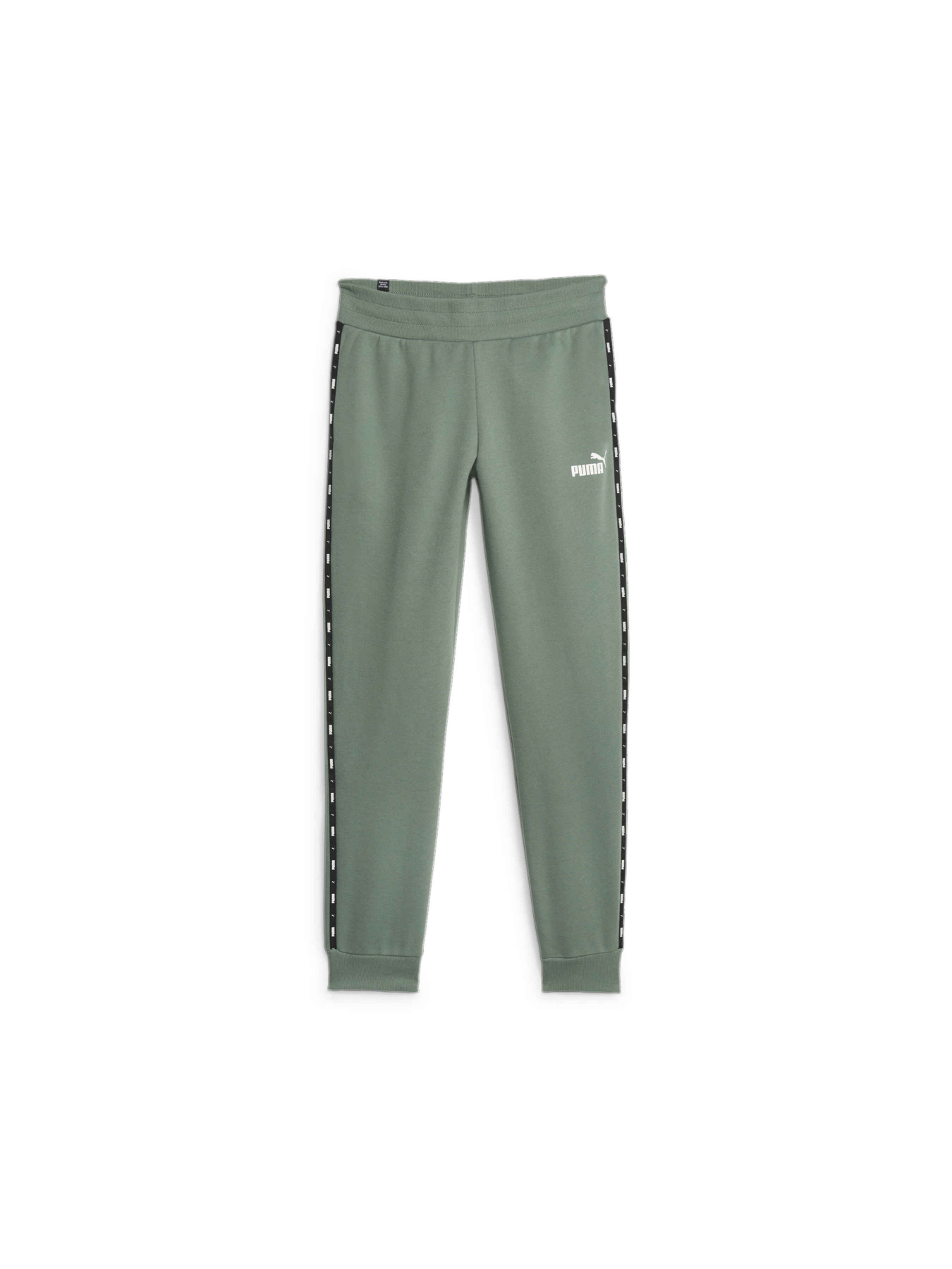 Штаны спортивные PUMA Ess Tape Sweatpants модель 675999 Фото