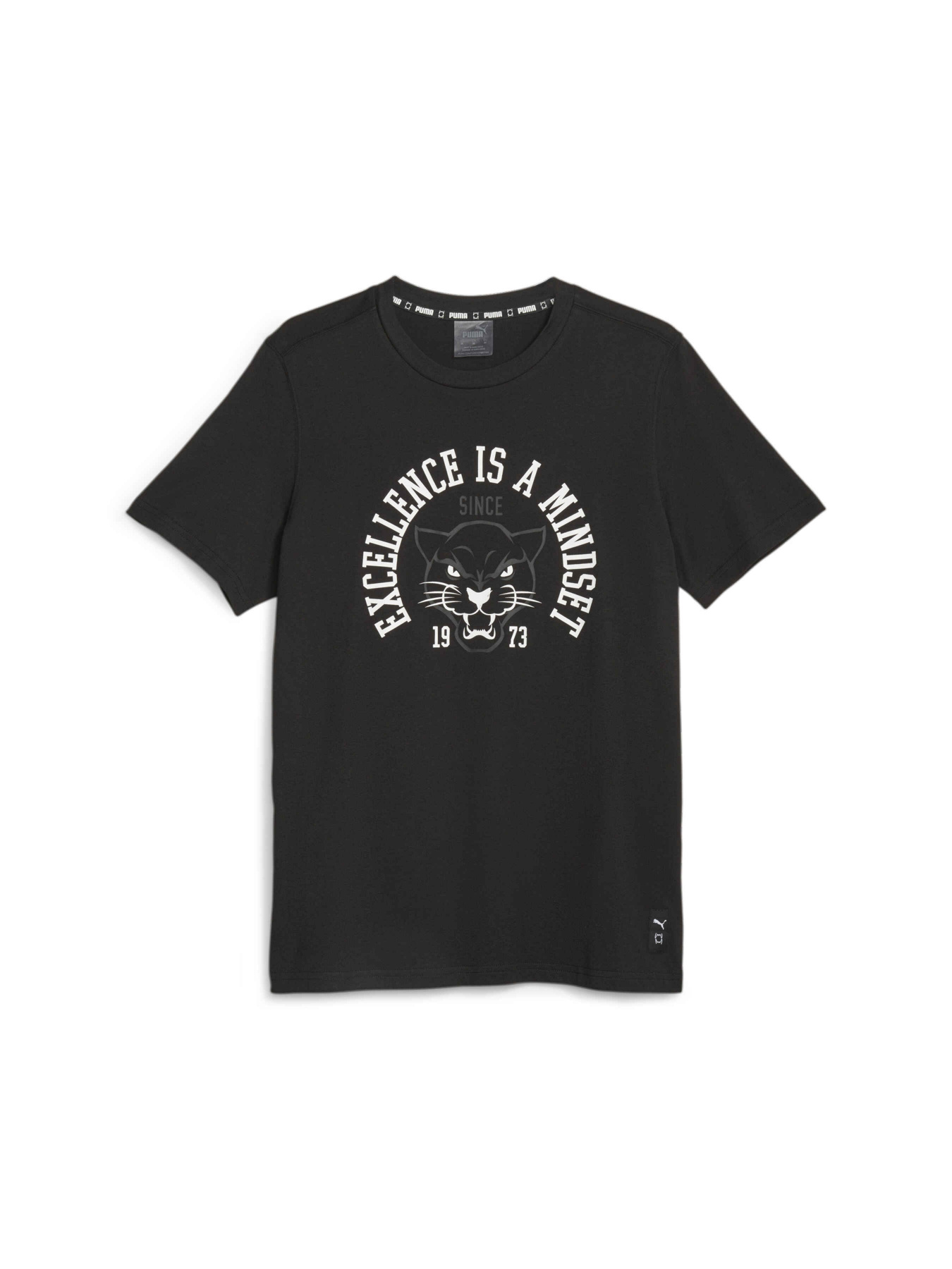 Футболка спортивная PUMA Blueprint Q3 Graphic Tee 1 модель 622089 Фото