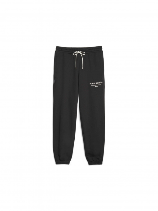 Штаны спортивные PUMA Team Sweatpants модель 621328 Фото