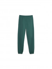 Штаны спортивные PUMA Team Sweatpants модель 621328 Фото