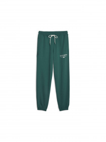 Штаны спортивные PUMA Team Sweatpants модель 621328 Фото