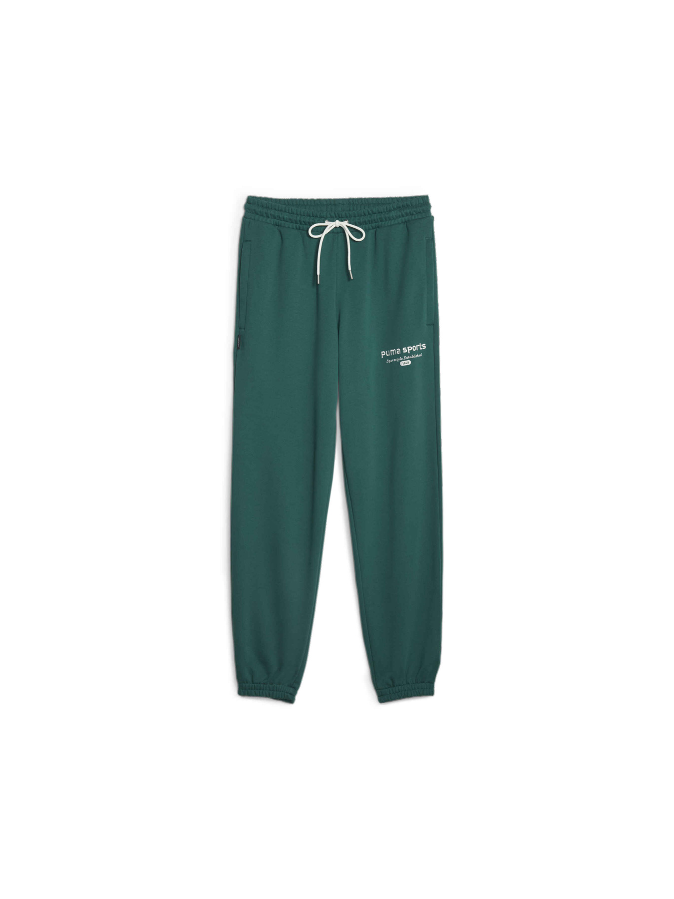 Спортивні штани PUMA Team Sweatpants модель 621328 Фото