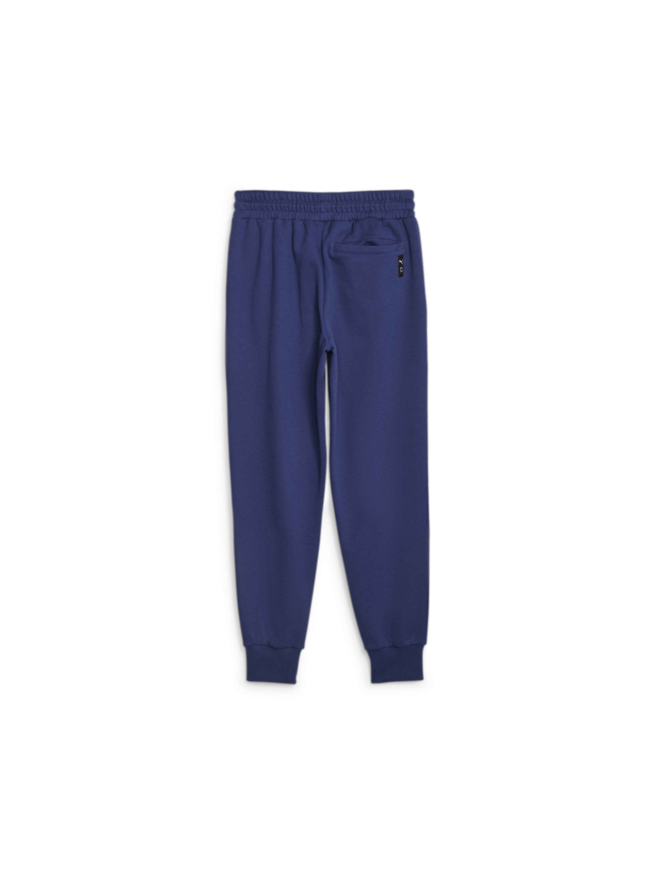 Спортивні штани PUMA Blueprint Formstrip Pant модель 622079 Фото