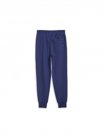 Спортивні штани PUMA Blueprint Formstrip Pant модель 622079 Фото