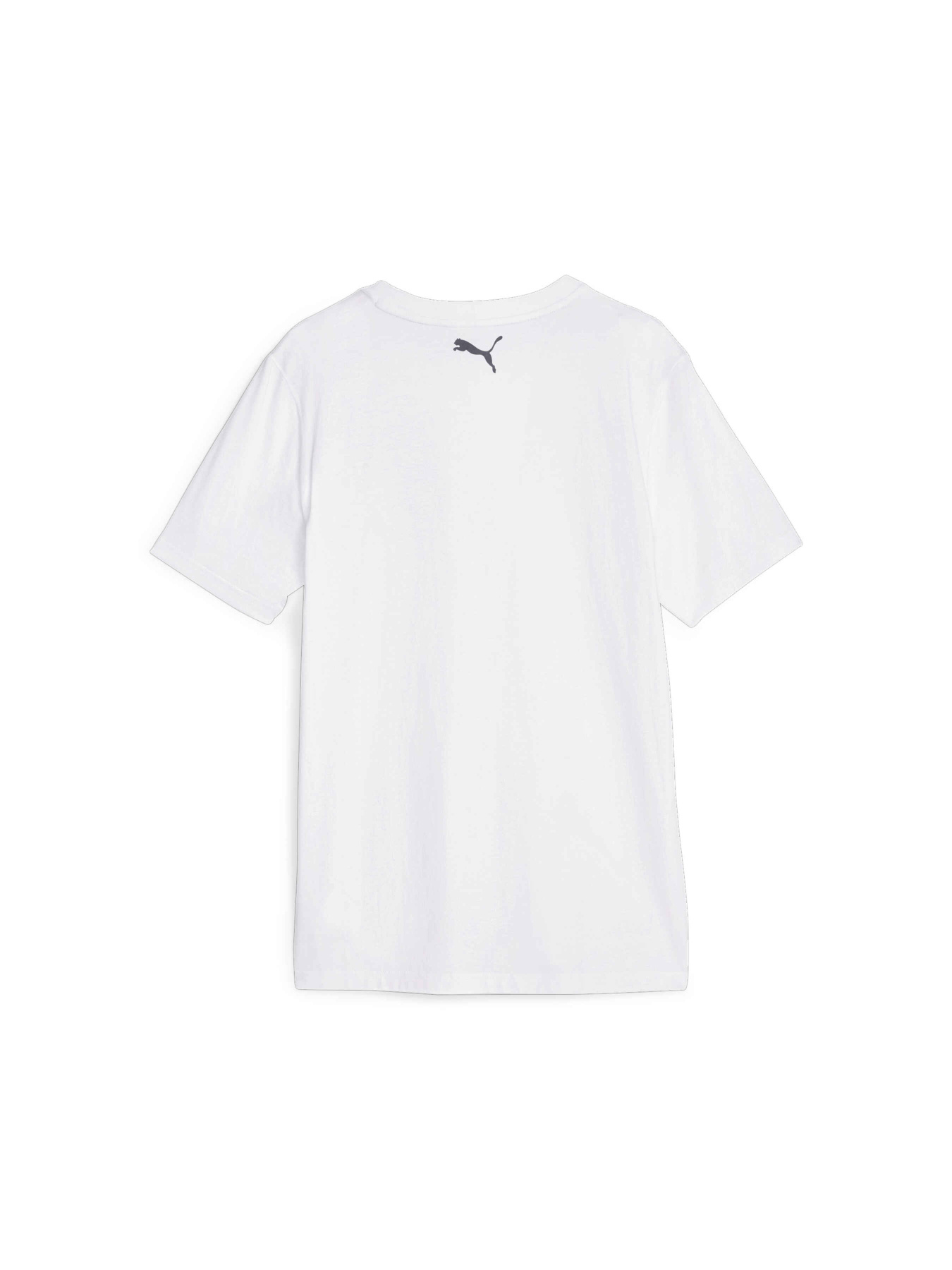 Футболка спортивная PUMA Blueprint Graphic Tee 1 модель 622081 Фото