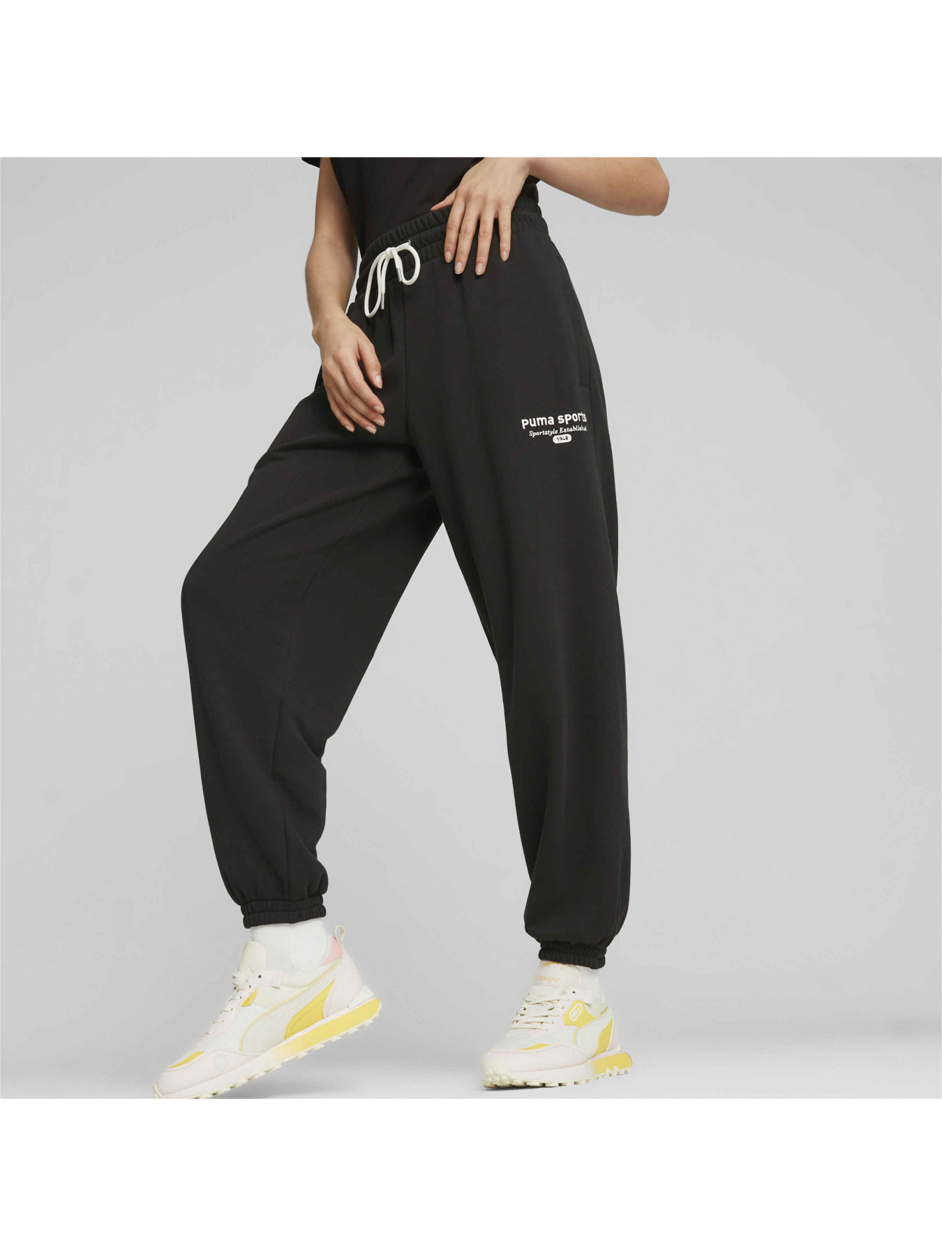 Штаны спортивные PUMA Team Sweatpants модель 621442 Фото