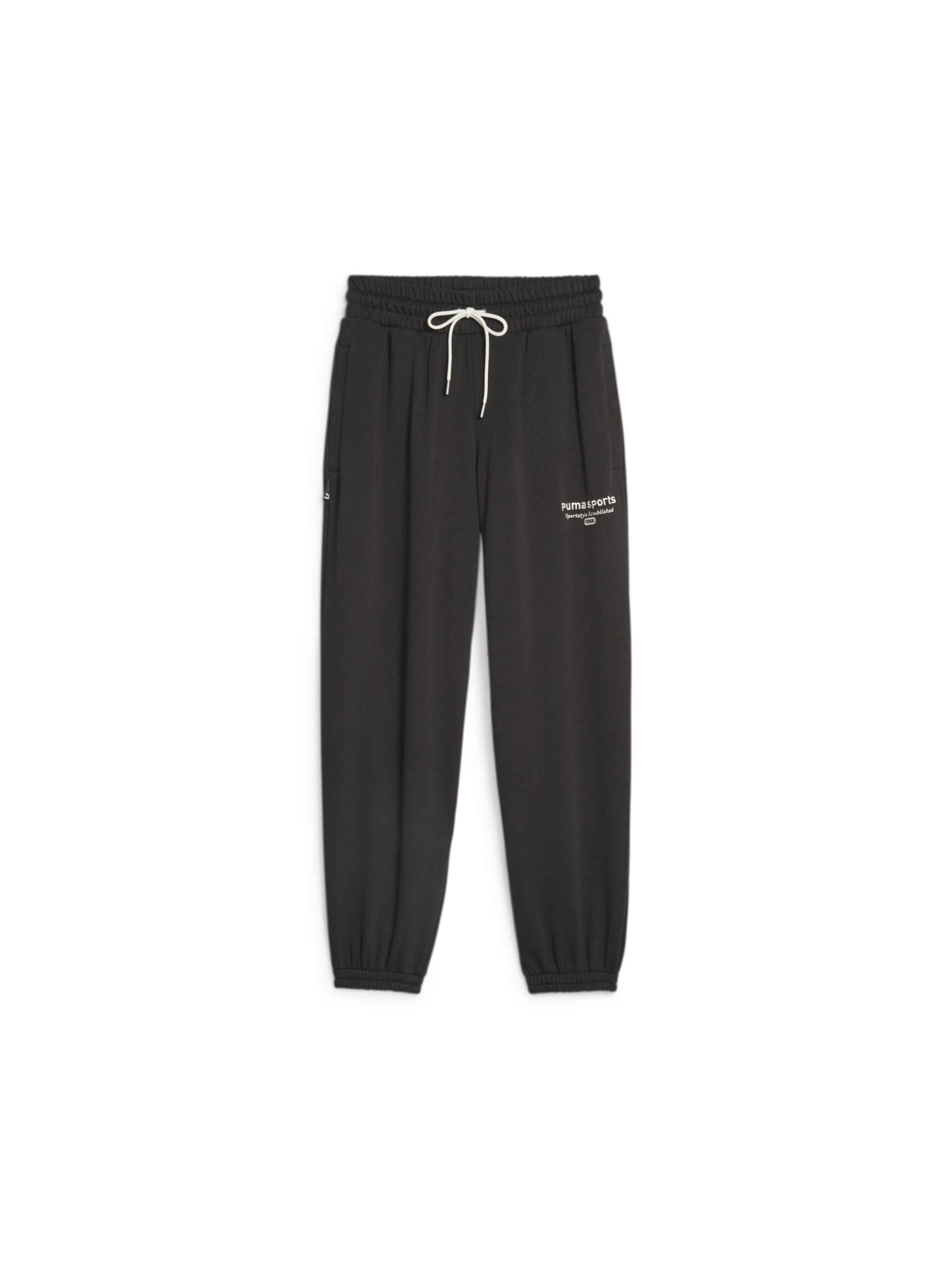 Штаны спортивные PUMA Team Sweatpants модель 621442 Фото