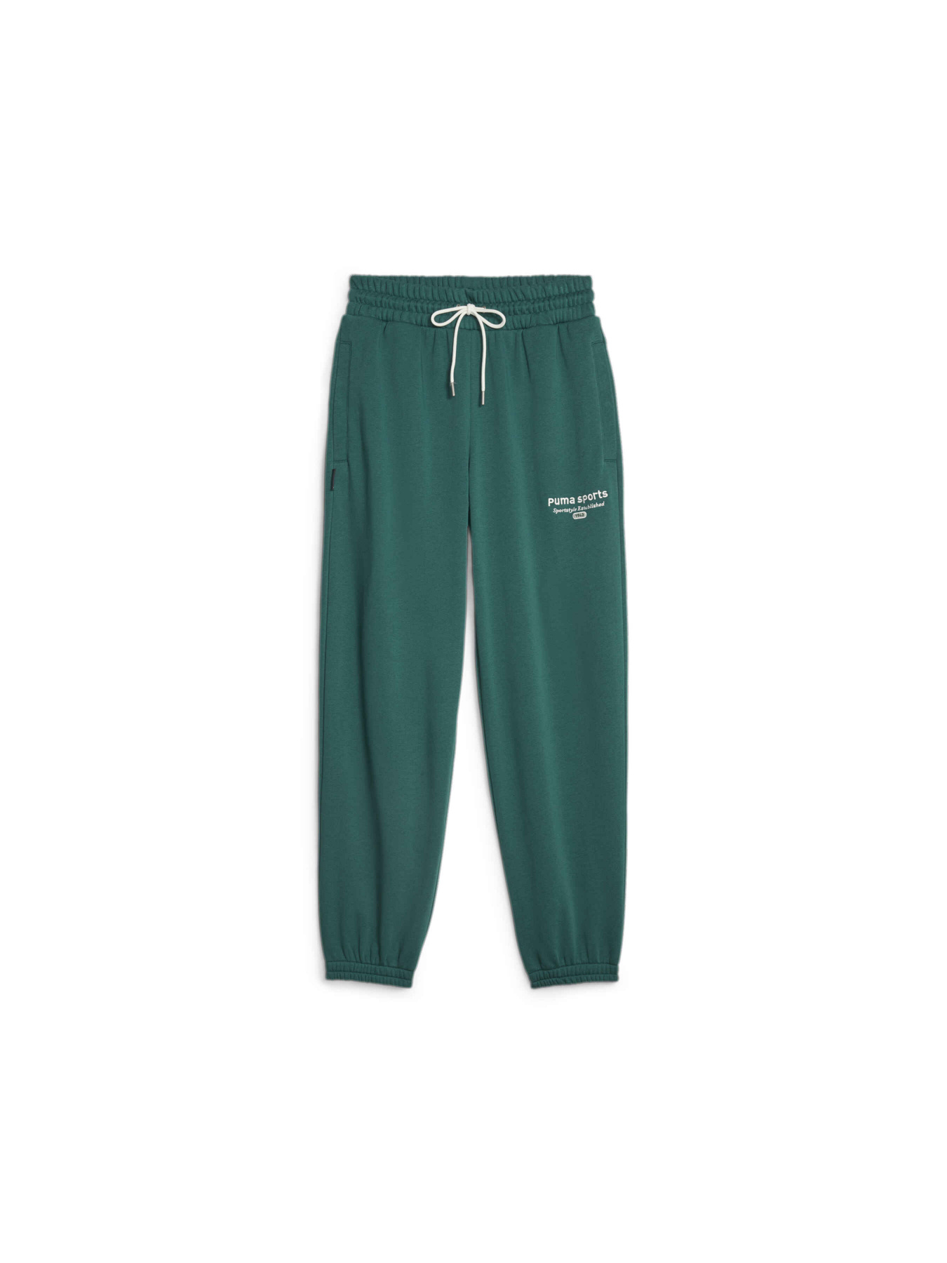 Штани спортивні PUMA Team Sweatpants модель 621442 Фото
