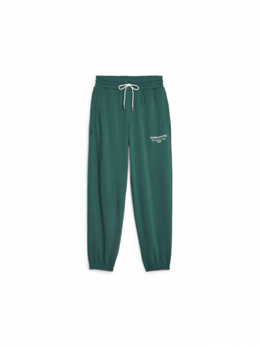 Штаны спортивные PUMA Team Sweatpants модель 621442 Фото