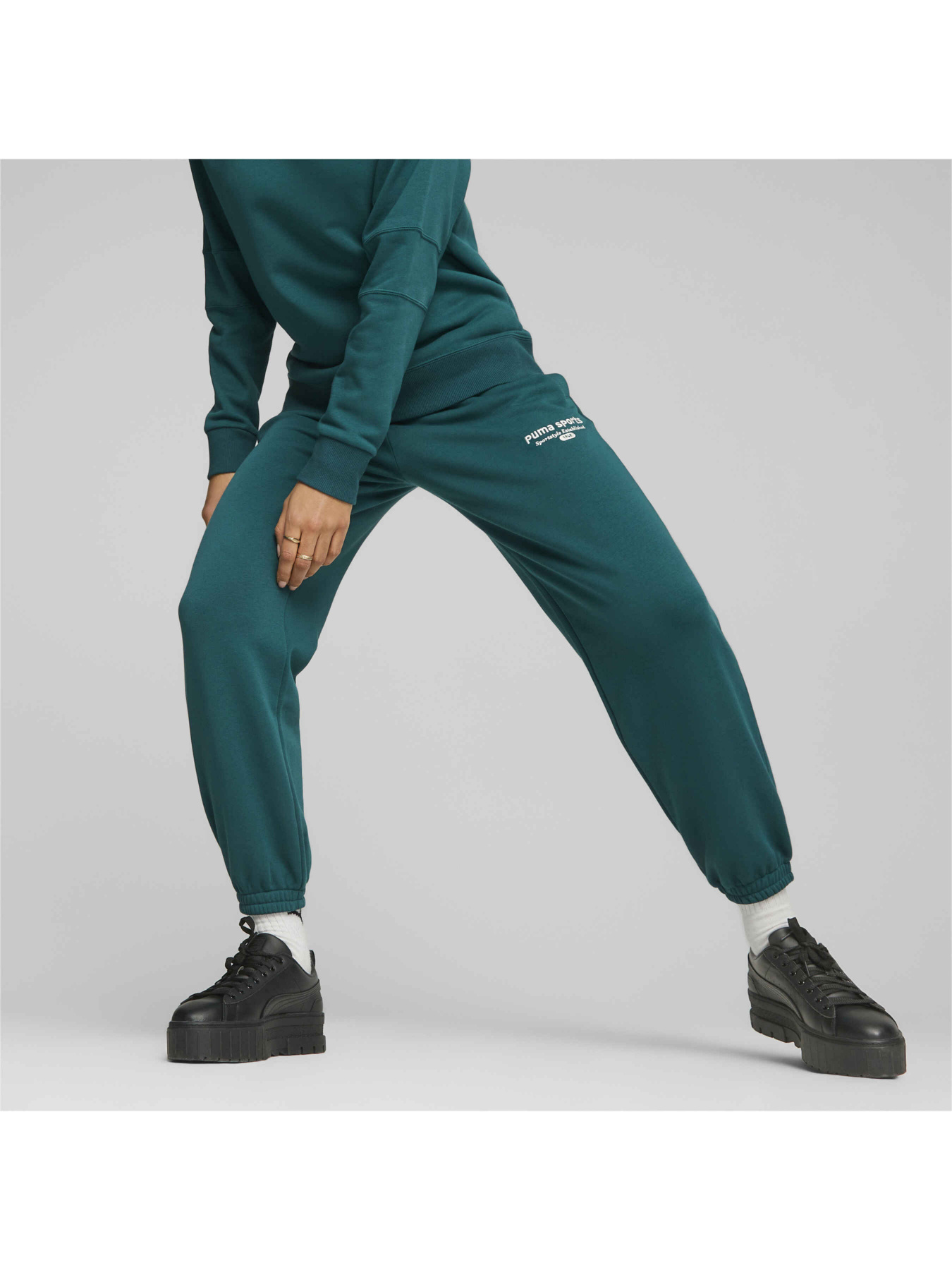 Штаны спортивные PUMA Team Sweatpants модель 621442 Фото