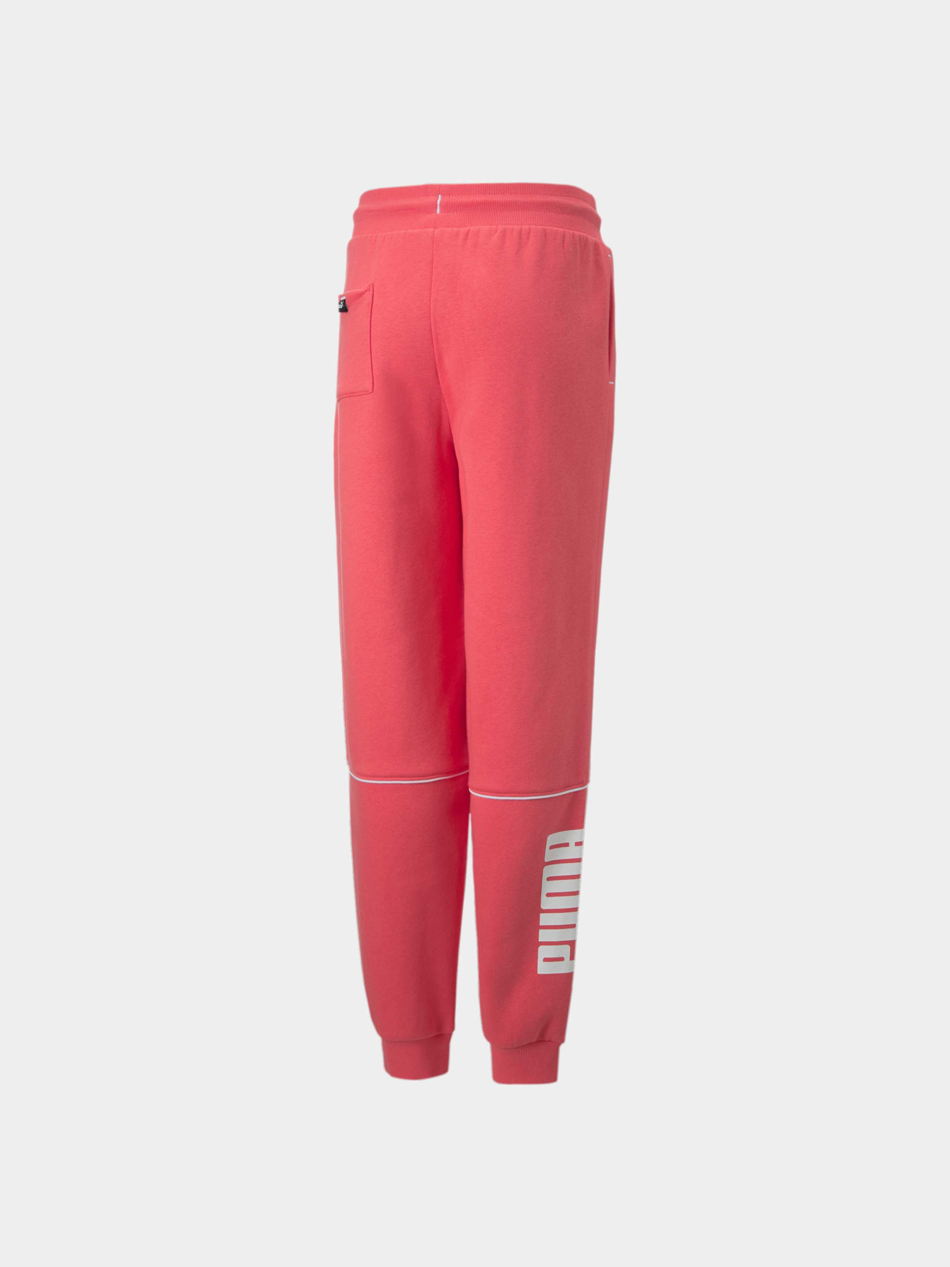 Штаны спортивные PUMA Power Colorblock Pants модель 670206 Фото