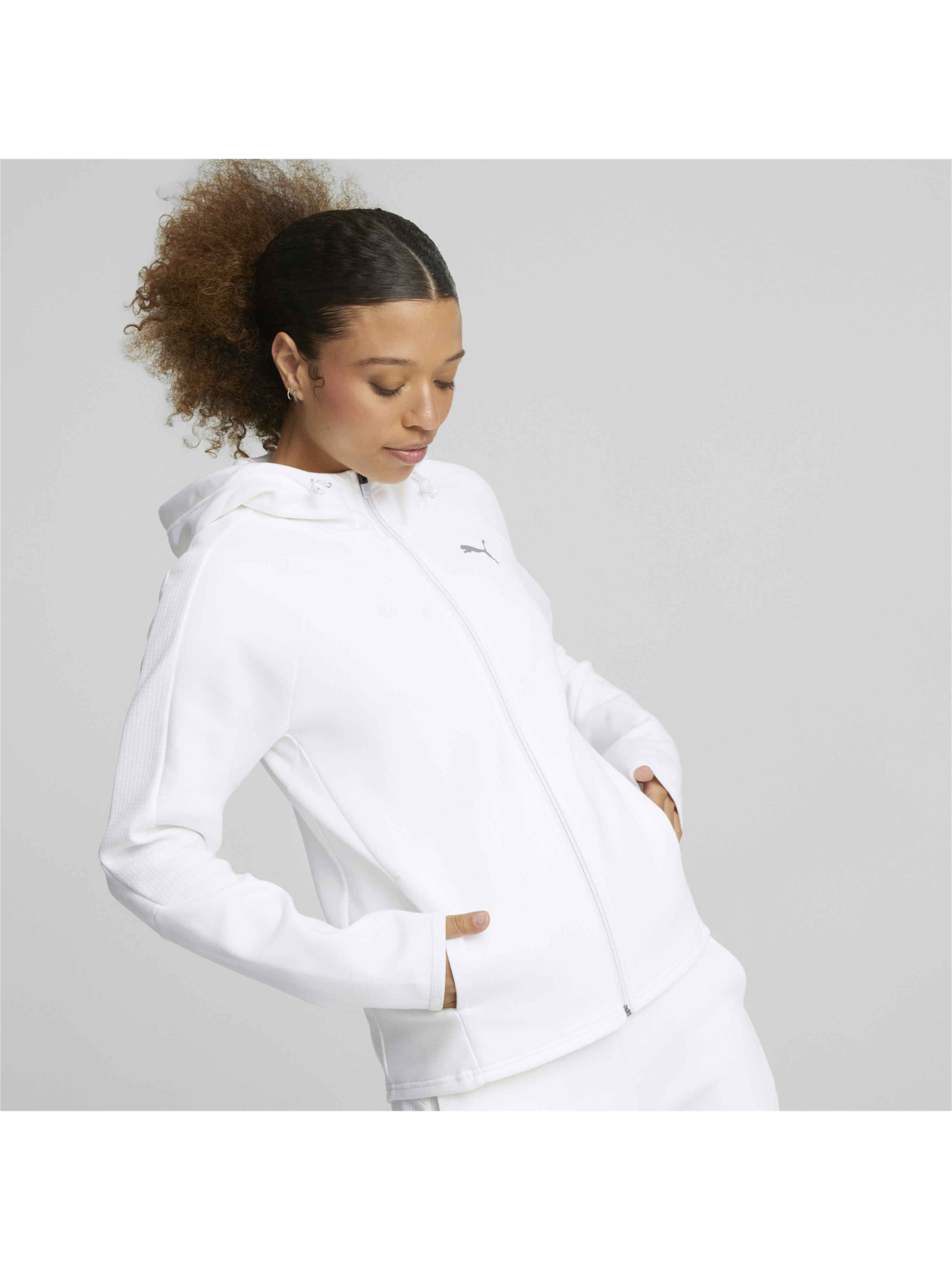 Кофта спортивная PUMA Evostripe Full-zip Hoodie модель 849809 Фото