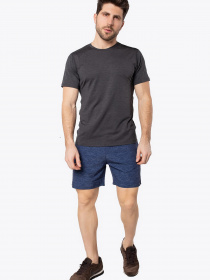 Повседневные шорты AVECS модель 30381-23-AV Повседневные шорты AVECS модель 30381-23-AV Фото