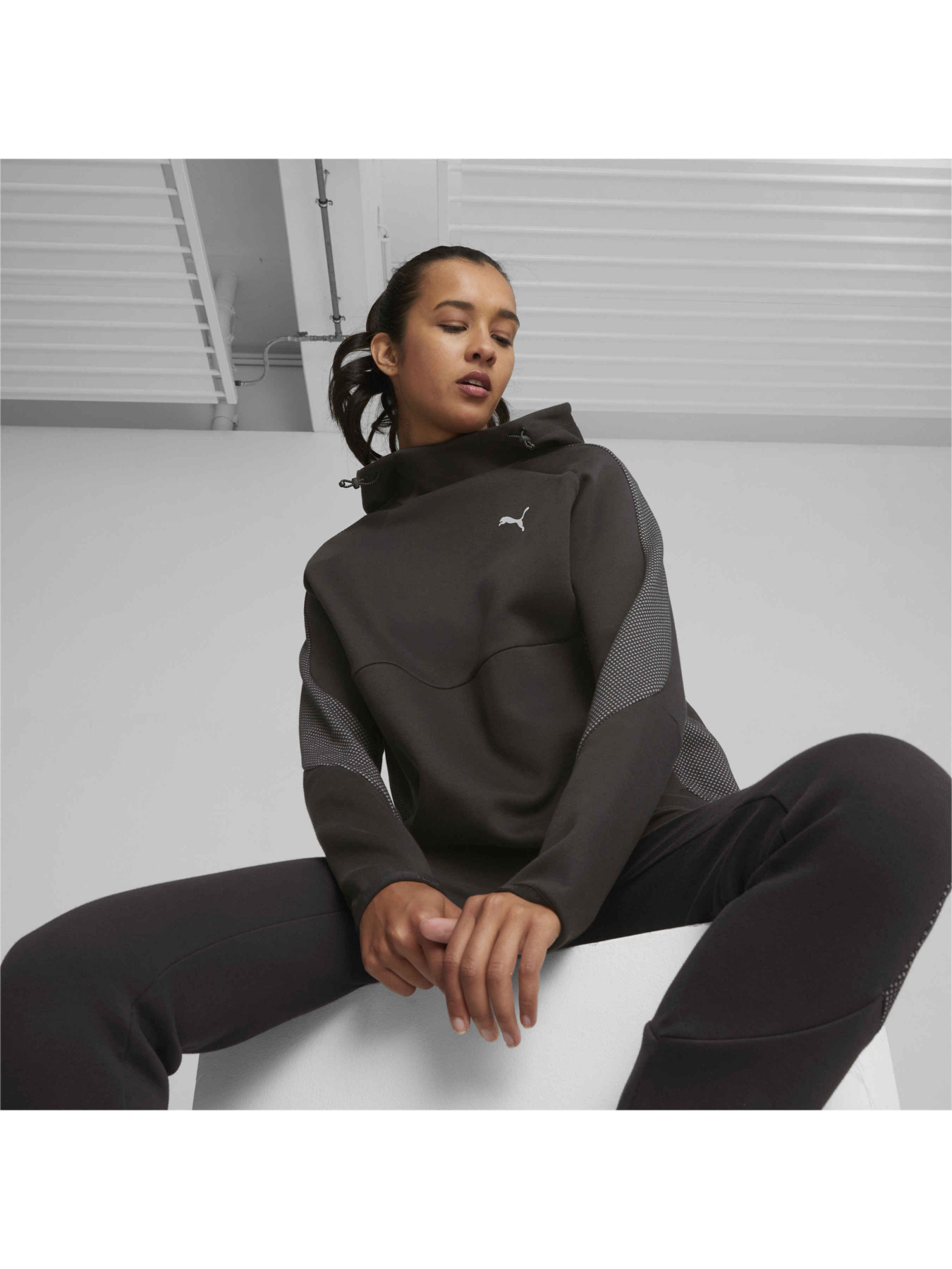 Кофта спортивная PUMA Evostripe Hoodie модель 676072 Фото