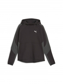 Кофта спортивная PUMA Evostripe Hoodie модель 676072 Фото