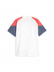 Футболка спортивная PUMA Individualcup Jersey Jr модель 658482 Фото