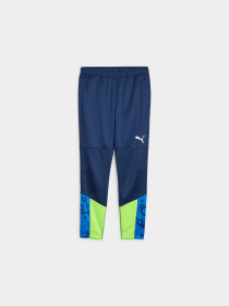Штаны спортивные PUMA Individualcup Training Pants модель 658487 Фото