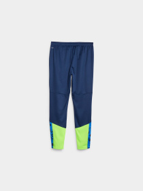 Штаны спортивные PUMA Individualcup Training Pants модель 658487 Штаны спортивные PUMA Individualcup Training Pants модель 658487 Фото