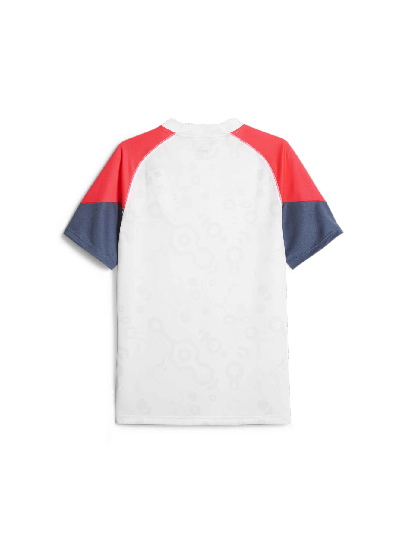 Спортивная футболка PUMA Individualcup Jersey модель 658481 Спортивная футболка PUMA Individualcup Jersey модель 658481 Фото