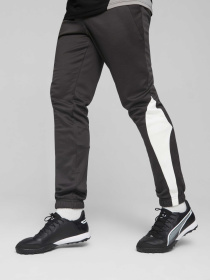 Штаны спортивные PUMA King Pro Training Pants модель 658351 Штаны спортивные PUMA King Pro Training Pants модель 658351 Фото