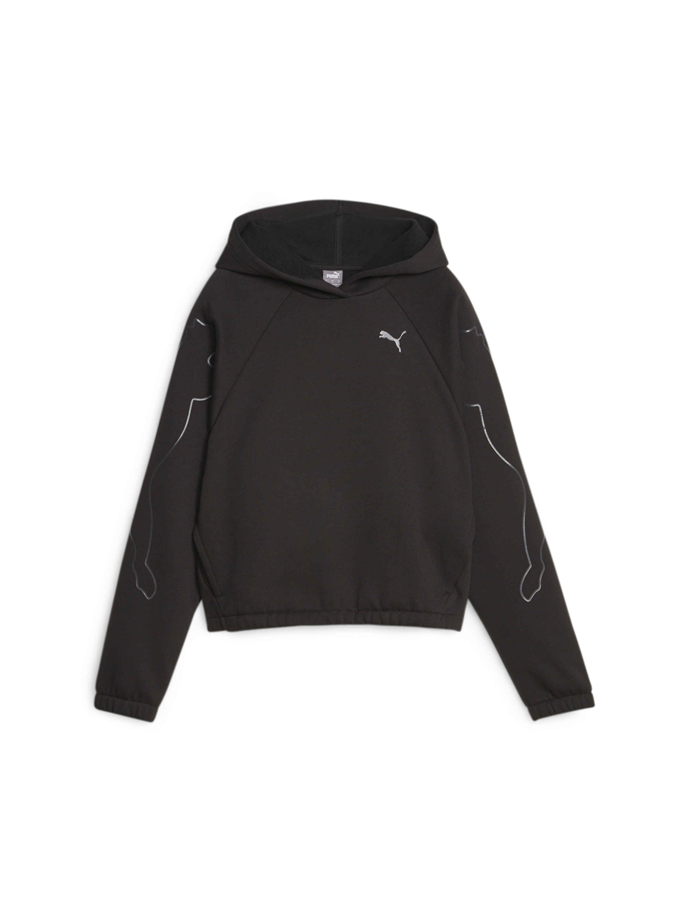 Худі PUMA Motion Cat Hoodie модель 676084 Фото