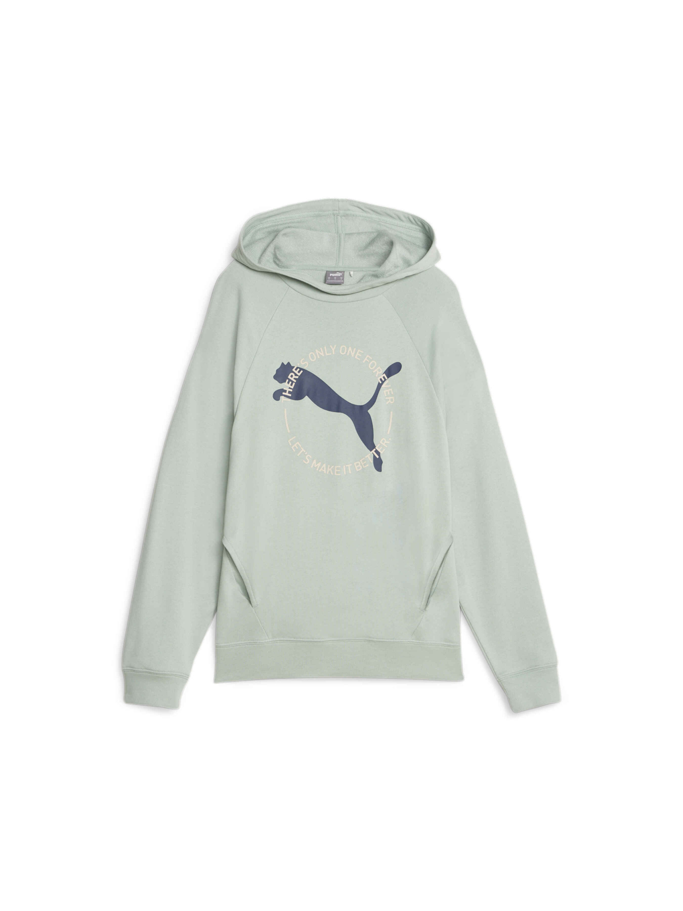 Кофта спортивная PUMA Better Sportswear Hoodie модель 676068 Фото