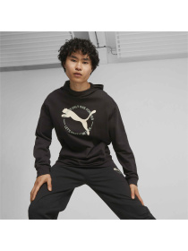 Худи PUMA Better Sportswear Hoodie модель 676064 Фото