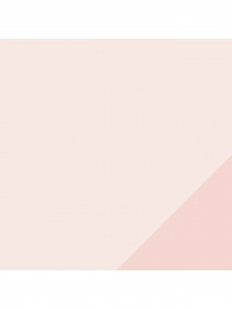 Набір шкарпеток PUMA Women Cat Logo Rib Sock модель 938175 Фото