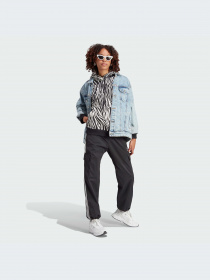 Худи и свитшоты Adidas Graphics модель IJ7774-KZ Фото