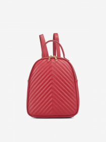 Повсякденний рюкзак Regina Notte модель 2000000217802 Повсякденний рюкзак Regina Notte модель 2000000217802 Фото