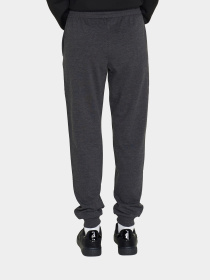 Штаны спортивные Lotto модель 217959_9Y7 Фото