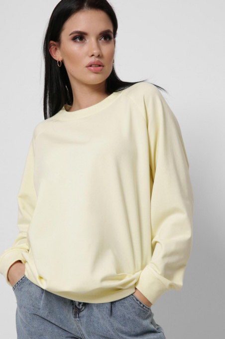 Свитшот CARICA модель SV75856 Фото