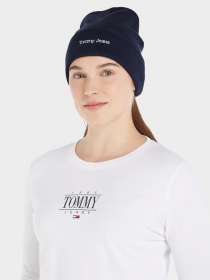 Шапки и кепки Tommy Hilfiger модель AW0AW15473-C87 Фото