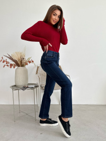 Прямые джинсы ISSA Plus модель WN20-570_синий Фото