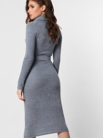 Платье миди CARICA модель KP1027535 Платье миди CARICA модель KP1027535 Фото