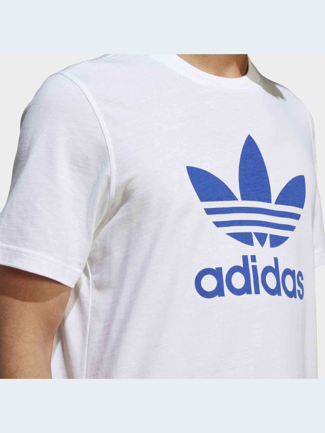 Футболка Adidas Adicolor модель IA4813 Фото