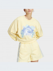 Світшот Adidas Graphics модель IT8161 Фото