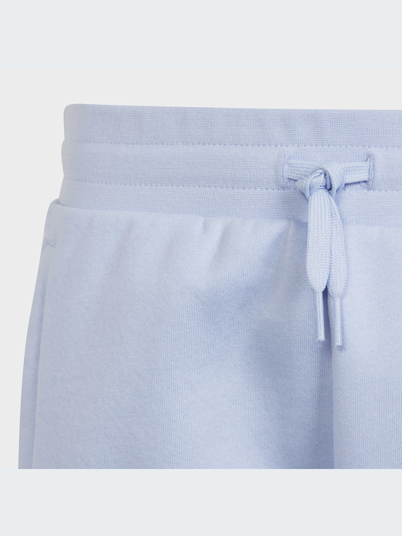 Повседневные шорты Adidas Adicolor модель IC3172 Фото