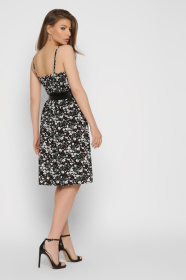 Сукні CARICA модель KP103378 Сукні CARICA модель KP103378 Фото