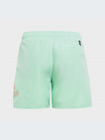 Шорты для плавания Adidas модель IC7697 Фото